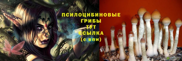 прущая мука Алзамай