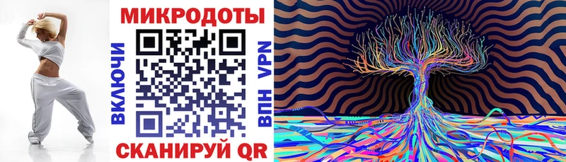 Купить  Каргополь  Псилоцибиновые грибы мицелий 
