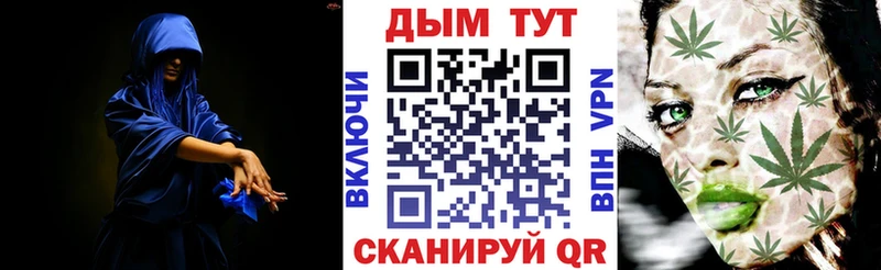 Купить закладки  Каргополь  Марихуана сатива 